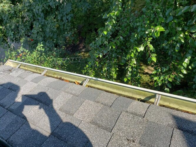 gutter cleaning