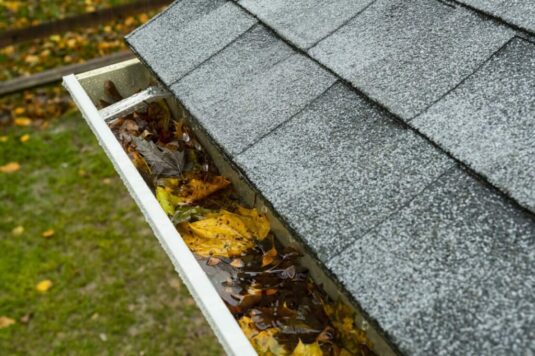 gutter cleaning